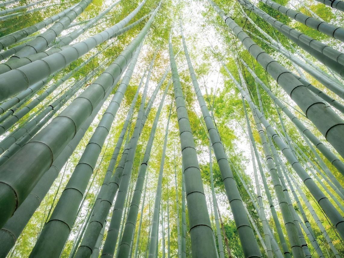 九谷の杜 展望庭園